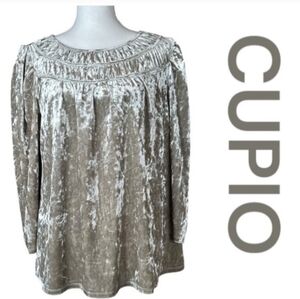 NWT CUPIO Crushed Velvet Top In Feather Gray, Size L Large
